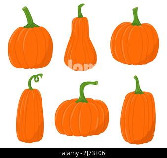 A set of colored flat pumpkin icons. Autumn farmer's harvest, Thanksgiving day. Vegetable pumpkin symbol. Flat cartoon style. Color vector illustratio Stock Vector