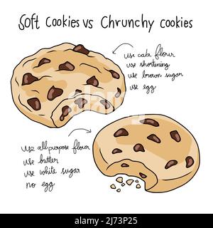 Soft cookie vs crunchy cookie info graphic vector illustration Stock Vector