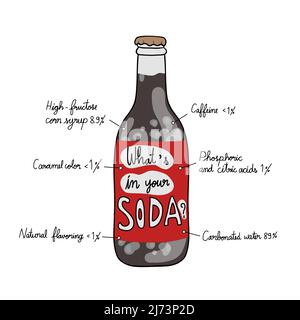 What is in your soda drink info graphic vector illustration Stock Vector