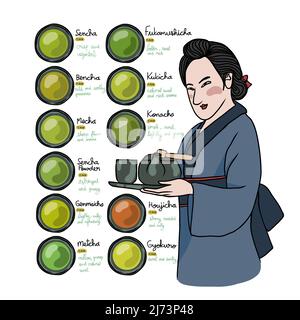 Types of Japanese tea info graphic vector illustration Stock Vector