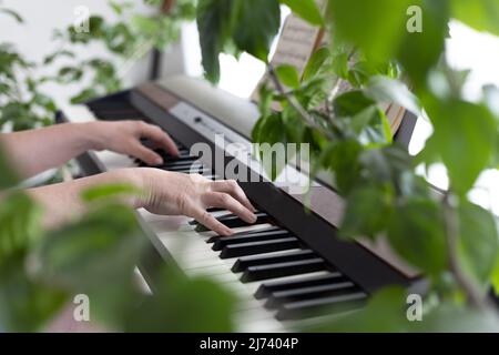 Women's hands play the piano. The hands froze on the keys of the synthesizer. Home music making, relaxation. Biophilic interior design. Lots of housep Stock Photo