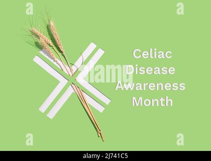 Ears and grains of wheat in a cross shape hole cut into paper. Celiac Disease Awareness Month Concept. Gluten Intolerance. Stock Photo