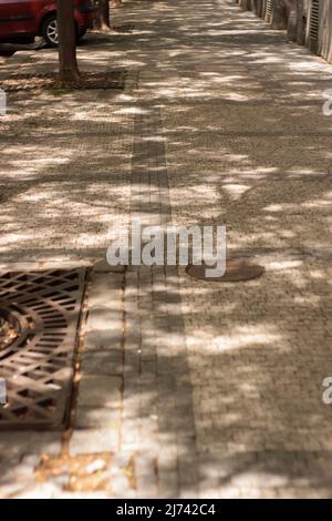 The sun's rays pass through the branches and draw luminous shapes on the sidewalk made of cobblestones. Stock Photo