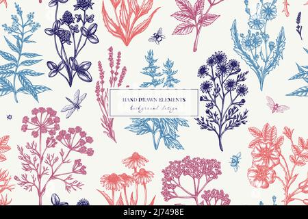 Tea herbs seamless pattern background design. Engraved style. Hand drawn chamomile, chicory, cinnamon rose, etc. Stock Vector