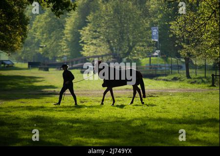 Badminton, Gloucestershire, UK. 6th May 2022. A horse exercising ahead of Day 2 of the 2022 Badminton Horse Trials presented by MARS at Badminton House near Bristol, Gloucestershire, England, United Kingdom. Jonathan Clarke / Alamy Live News Stock Photo