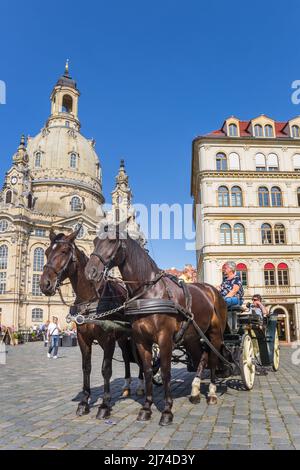 Horses and carriage in front of the Frauenkirche church in Dresden, Germany Stock Photo