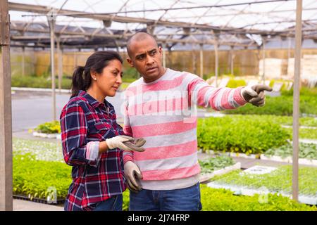 Two latino garden workers discussing working process Stock Photo