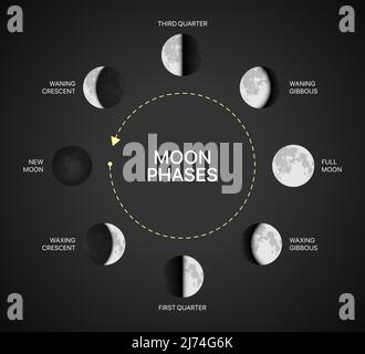 Moon phases chart vector illustration. Moon light rotation infographic on a black background. Stock Vector