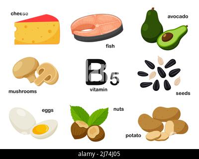 Rectangular poster with food products containing vitamin B5. Pantothenic acid. Medicine, diet, healthy eating, infographics. Products with the name.Fl Stock Vector