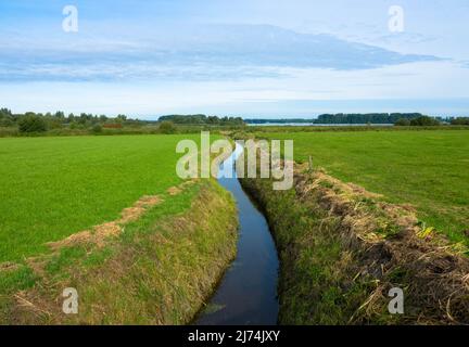 Dutch countryside landscape, Typical polder and water land, Green meadow on the blue sky. Small canal or ditch on the field, Friesland Netherlands Stock Photo