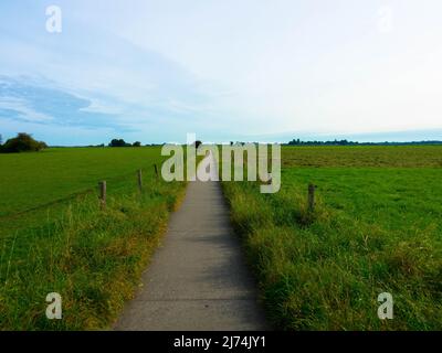 Long distance bicycle or walking road through dutch landscape, Narrow asphalt road between meadows. Provinz Gelderland, Netherlands Stock Photo