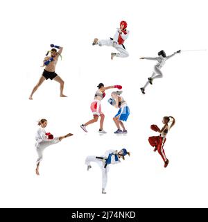 Collage made of portraits of male and female sportsmen. MMA fighter, boxers, and taekwondo fighters, swordsman or fencer. Sport competition concept Stock Photo