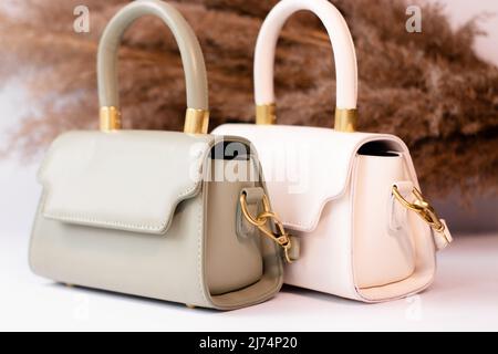 fashion photo of two purse. beige and green woman handbag with gold chain on background of pampas grass or dried flowers. isolated on white background Stock Photo