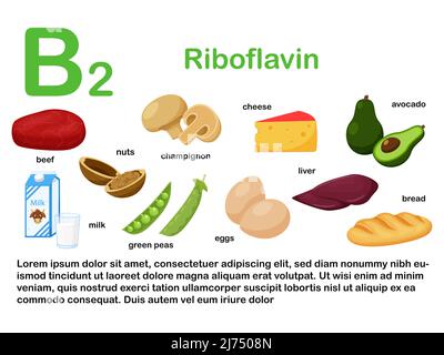 Rectangular poster with food products containing vitamin B2. Riboflavin. Medicine, diet, healthy eating, infographics. Products with name.Flat cartoon Stock Vector