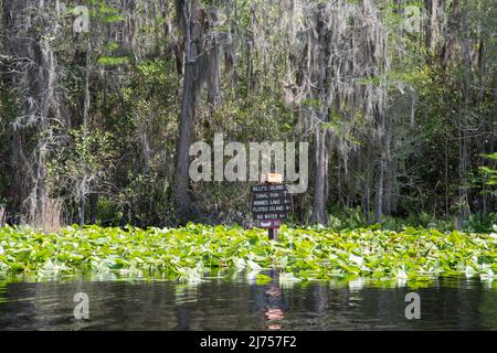 Directional wooden street signs on the canoe and boating trail in the Okefenokee Swamp National Wildlife Refuge, Georgia, USA Stock Photo