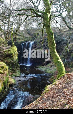 Dalcairney Falls - Scotland Stock Photo