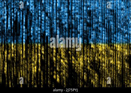 Ukraine blue and yellow bicolor flag matrix background generated on computer. Illustration suitable for banner or background. Ukrainian IT or hacker concept Stock Photo
