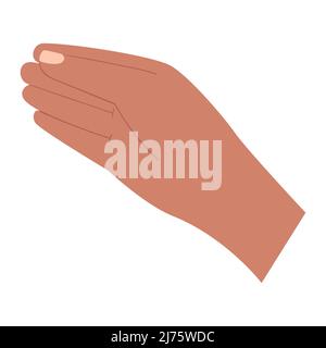 A human hand. Gesture. Holds, gives, shows something. Color vector illustration isolated on white background. Stock Vector