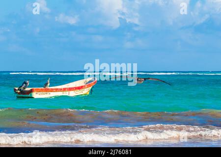 Tulum Mexico 02. February 2022 Pelicans birds at amazing and beautiful caribbean coast and beach panorama view with turquoise water waves and boats of Stock Photo