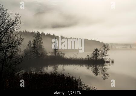 Headland at the Barmsee in the Bavarian Alps in dense autumn fog, in the background the Karwendel. Night shot with reflection in the water in black and white. Stock Photo