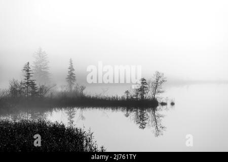 A small headland with bushes and trees on the shore of Barmsee near Krün in the Bavarian Alps in dense fog, night shot. Stock Photo