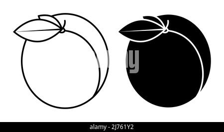 linear icon delicious juicy apricot with leaves. Summer fruits on table. Simple black and white vector isolated on white background Stock Vector