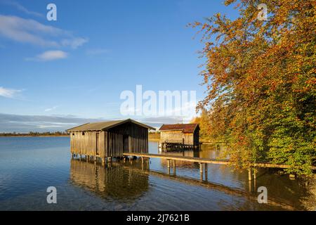 The boat huts on their wooden jetties near Kochel in the Bavarian foothills of the Alps in Lake Kochel with autumn leaves under a blue sky in autumn Stock Photo