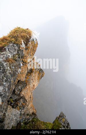 Frozen grass below the Sonnjoch in the Karwendel high in the Alps, close to a precipice during dense fog shine the autumnal colors of nature. Stock Photo