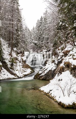 The Sachenfall on the Obernach between Wallgau and Walchensee in the Bavarian Alps, during heavy snowfall in winter. Its clear water adds a strong color accent. Stock Photo