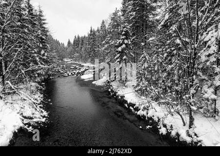 Winter and snow at the Obernach between Wallgau and Walchensee in the Bavarian Alps, the shallow stream flows through the snowy landscape. Stock Photo