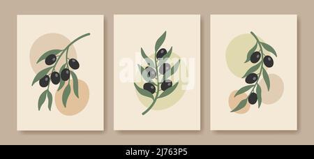 Abstract boho minimalist olive branch posters. Botanical wall art in pastel colors.  Stock Vector