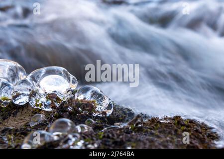 Ice drops on the bank of the Rissbach in the Karwendel in winter, in the background the water of the small stream flows past. Stock Photo