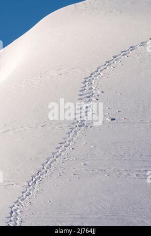 A single snowshoe track in the Karwendel on a mountain slope in the snow. The steep terrain shows structures in the snow. Stock Photo