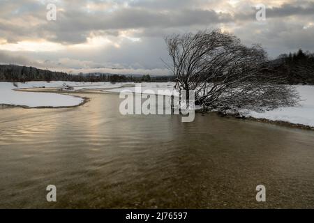 The streambed of the Isar with residual water flow through the power plant above in winter with snow and sunset. A large willow on the bank in the snow, while the clear river flows towards the viewer and in the background Wetterstein Mountains and Karwendel lie in clouds and mist with soft colors of the sunset. Stock Photo