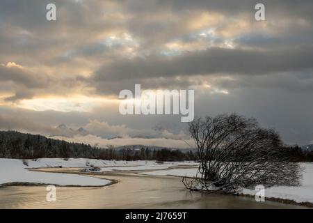 The streambed of the Isar with residual water flow through the power plant above in winter with snow and sunset. A large willow on the bank in the snow, while the clear river flows towards the viewer and in the background Wetterstein Mountains and Karwendel lie in clouds and mist with soft colors of the sunset. Stock Photo