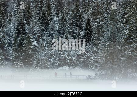 Three walkers on the snowed-in bridge at the outlet of the Lautersee in the Bavarian Alps in winter with fresh snow and dense ground fog Stock Photo