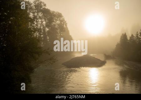 Morning fog in the streambed of the Isar between Vorderriss and Wallgau at the Karwendel mountains at sunrise Stock Photo