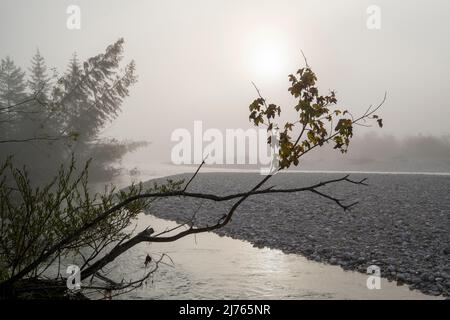 Morning fog in the streambed of the Isar between Vorderriss and Wallgau at the Karwendel mountains at sunrise Stock Photo