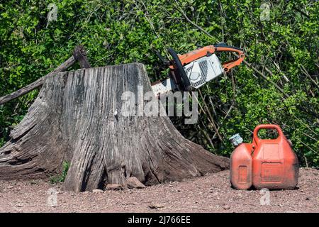 Plastic jerrycan for fuel / petrol and old rusty portable gasoline-powered chainsaw / chain saw and axe stuck in tree stump Stock Photo
