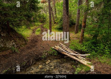 A small wooden bridge over a stream in Forchet, the last remaining mountain forest in the Inn Valley, near Haiming. Stock Photo
