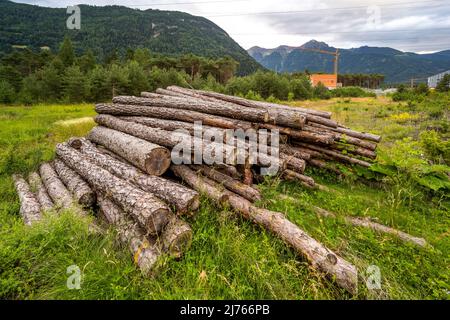 Documentation of the deforestation of the last remaining mountain forest in the Inn valley near Haiming in favor of the construction of residential houses and industrial areas. Stock Photo