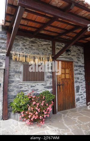 Corn cobs are drying on air. Madeira island, Portugal, Europe. Phot by Matheisl Stock Photo