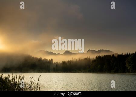 Fog despite light wind, drives small waves over the geroldsee, also called Wagenbrüchsee, in the Bavarian Alps before him. The sun conjures up soft hues and in the background stretches the Karwendel. Stock Photo