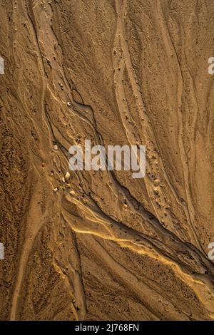 Molds and flotsam on the beach of Walchensee after a heavy thunderstorm Stock Photo