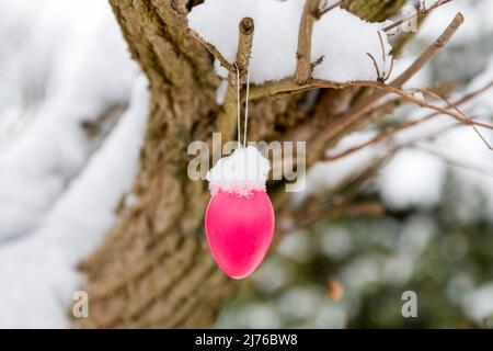Snow covered easter egg on a tree Stock Photo
