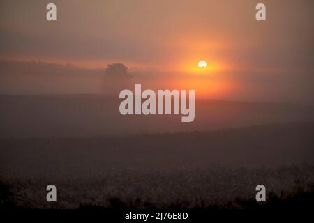 Sunrise over the Fruehnebel on the heath landscape near Döhle. Stock Photo