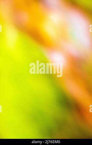 Abstract wallpaper from nature, natural background Stock Photo