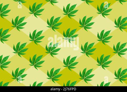 Pattern of young cannabis leaves arranged on the yellow background. Top view. Stock Photo