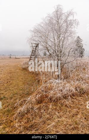 A hunting hide and reeds covered with hoarfrost with low hanging clouds in the Kocheler Moos near Schlehdorf in the Bavarian foothills of the Alps. Stock Photo