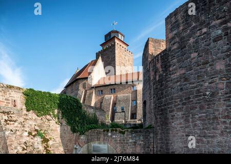 Breuberg, Odenwald, Hesse, Germany, Breuberg Castle in summer Stock Photo